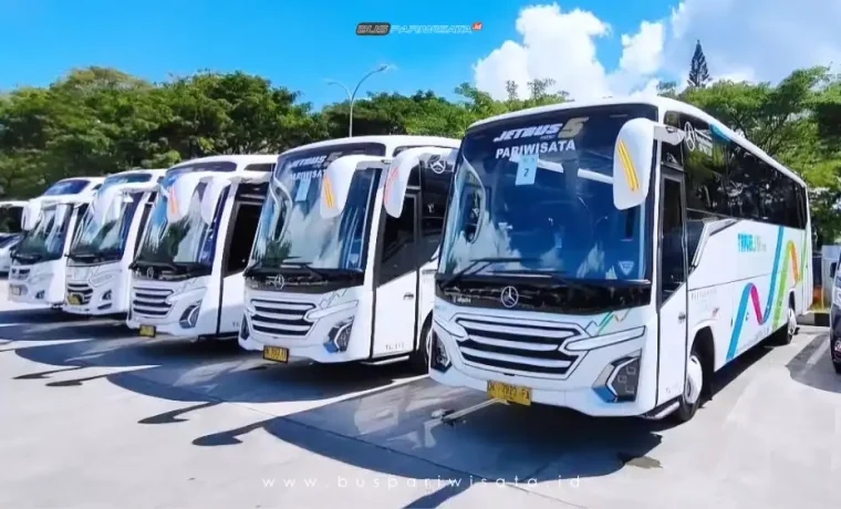 Medium Bus 29 – 35 Seats