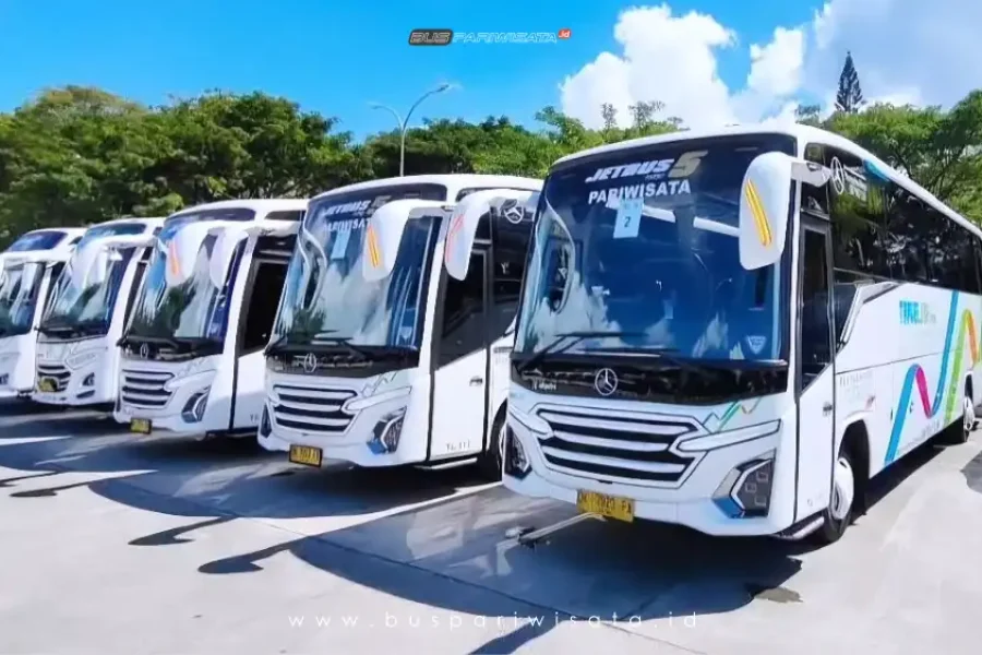 Medium Bus 29 – 35 Seats