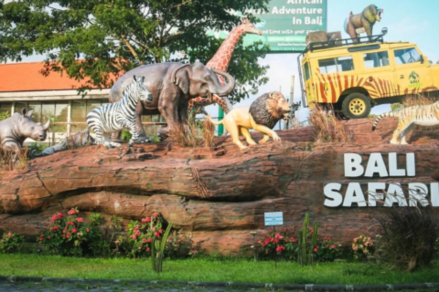 BALI SAFARI JUNGLE HOPPER PACKAGE