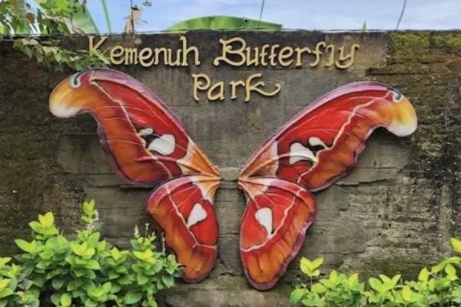 KEMENUH BUTTERFLY PARK GIANYAR