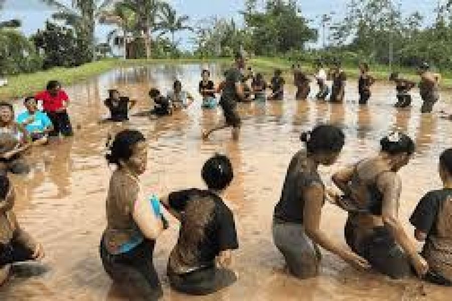 FUN IN MUD  PACKAGE  JATILUWIH