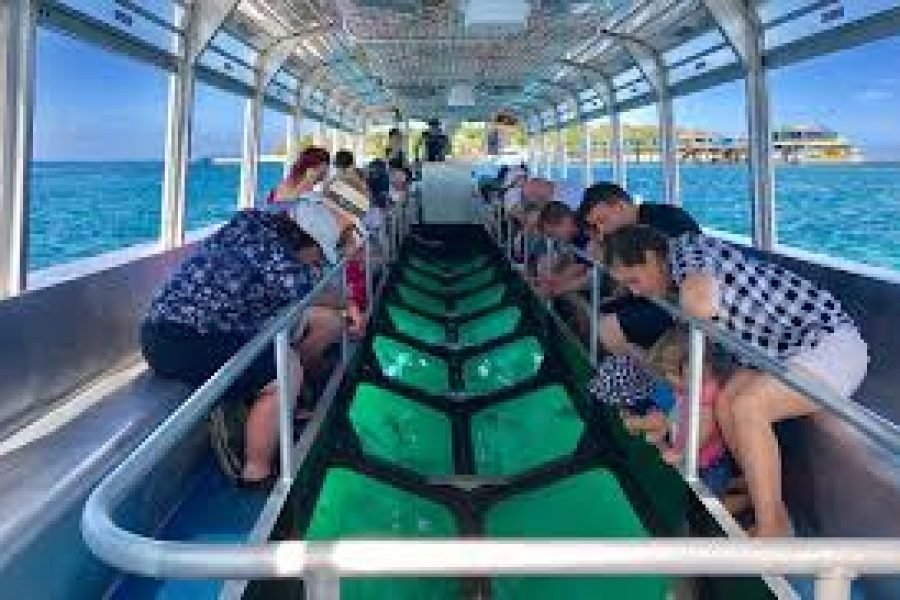 Watersports Glass Botttom boat and Turtle island